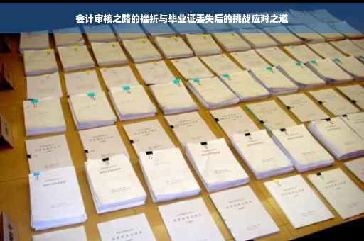 会计审核之路的挫折与毕业证丢失后的挑战应对之道