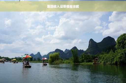 医院收入证明模板详解