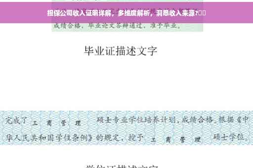 担保公司收入证明详解，多维度解析，洞悉收入来源?⚡️