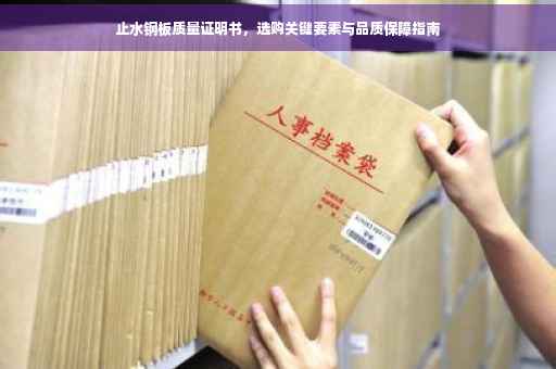 止水钢板质量证明书，选购关键要素与品质保障指南