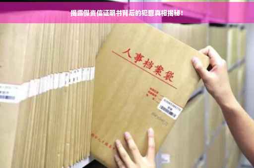 揭露假资信证明书背后的犯罪真相揭秘！