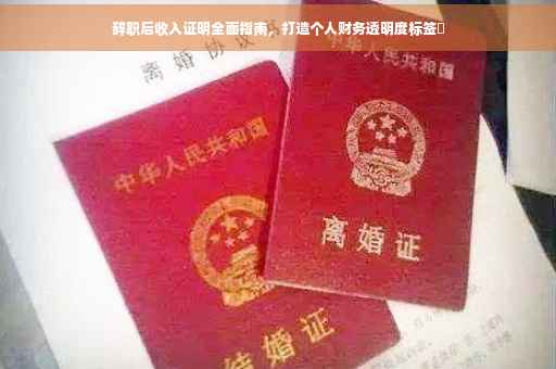 辞职后收入证明全面指南，打造个人财务透明度标签✨