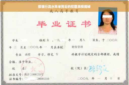 假银行流水账单背后的犯罪真相揭秘