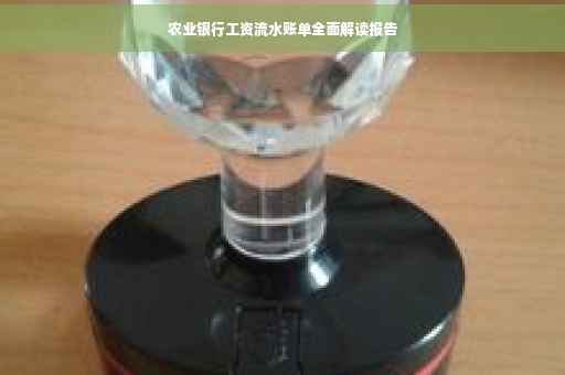 农业银行工资流水账单全面解读报告