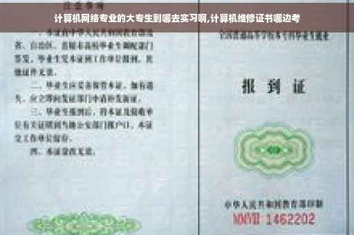 计算机网络专业的大专生到哪去实习啊,计算机维修证书哪边考