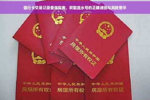 银行卡交易记录查询指南，获取流水号的正确途径与风险警示