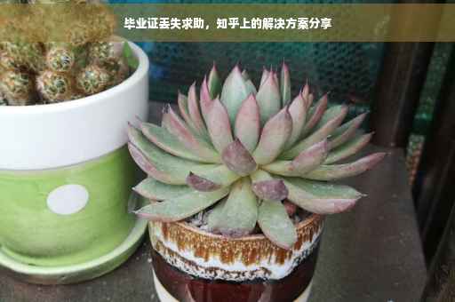 毕业证丢失求助，知乎上的解决方案分享