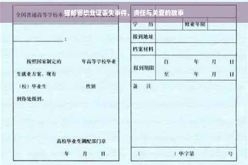 猫邮寄毕业证丢失事件，责任与关爱的故事