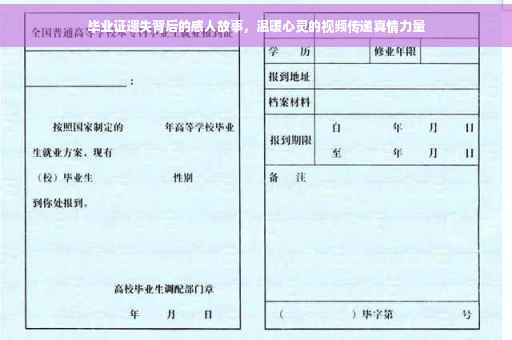 毕业证遗失背后的感人故事，温暖心灵的视频传递真情力量