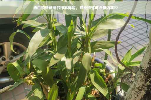 自由销售证明书样本详解，专业格式与必备内容??