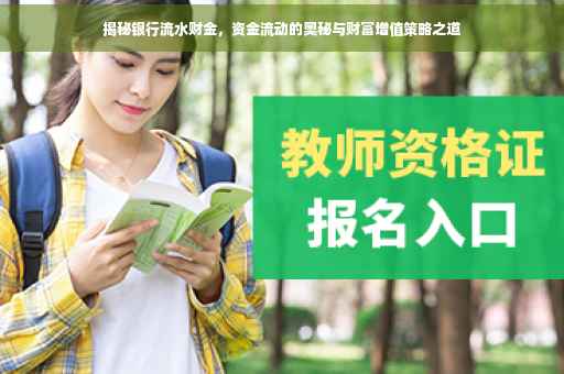 揭秘银行流水财金，资金流动的奥秘与财富增值策略之道