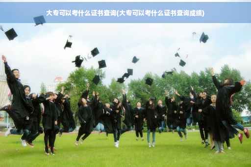 大专可以考什么证书查询(大专可以考什么证书查询成绩)