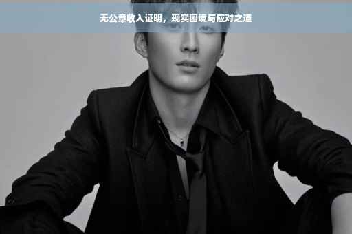 无公章收入证明，现实困境与应对之道