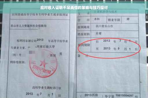 应对收入证明不足两倍的策略与技巧探讨