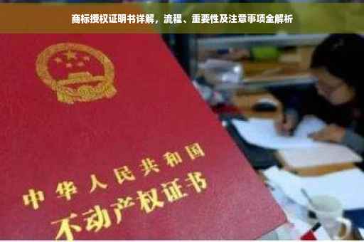 商标授权证明书详解，流程、重要性及注意事项全解析