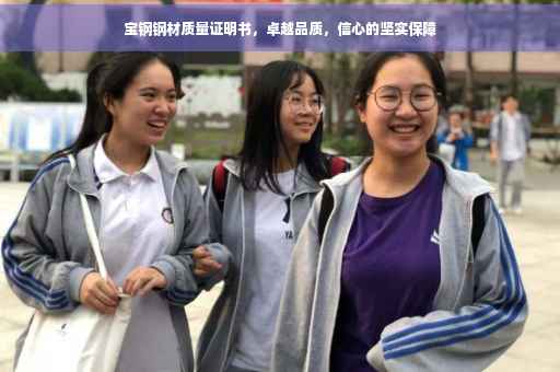 宝钢钢材质量证明书，卓越品质，信心的坚实保障
