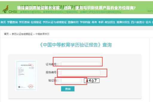 镀锌扁钢质量证明书详解，选购、使用与识别优质产品的全方位指南?