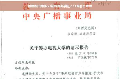 福建省计算机cct证书查询系统,CCT是什么意思