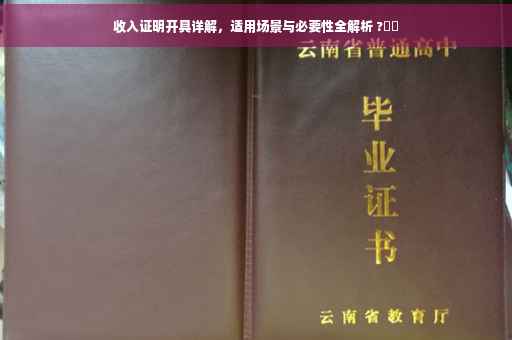 收入证明开具详解，适用场景与必要性全解析 ?⚡️