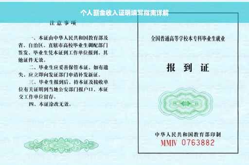 个人薪金收入证明填写指南详解
