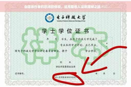 自媒体作者的职场初体验，试用期收入证明揭秘之旅 ?⚡️