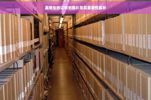 离婚生效证明书图片及其重要性解析
