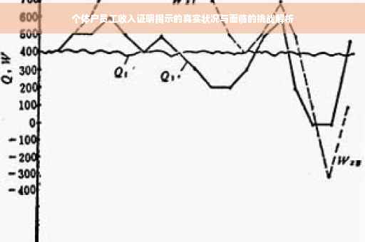 个体户员工收入证明揭示的真实状况与面临的挑战解析