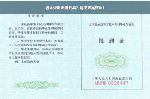 收入证明无法开具？解决方案在此！