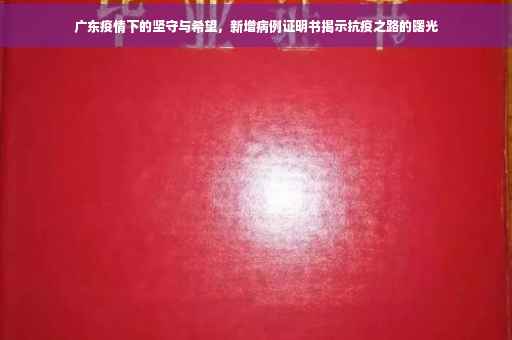 广东疫情下的坚守与希望，新增病例证明书揭示抗疫之路的曙光