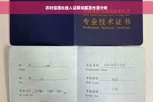 农村信用社收入证明详解及作用分析