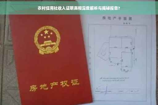 农村信用社收入证明真相深度解析与揭秘报告?