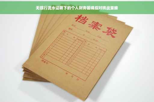 无银行流水证明下的个人财务困境应对挑战策略