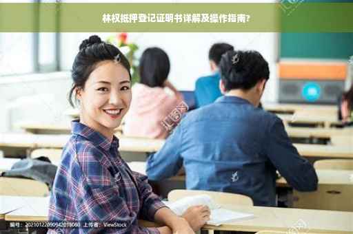 林权抵押登记证明书详解及操作指南?