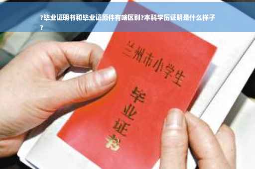 ?毕业证明书和毕业证原件有啥区别?本科学历证明是什么样子
?