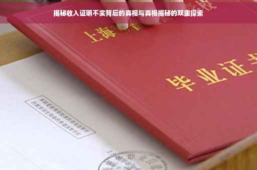 揭秘收入证明不实背后的真相与真相揭秘的双重探索