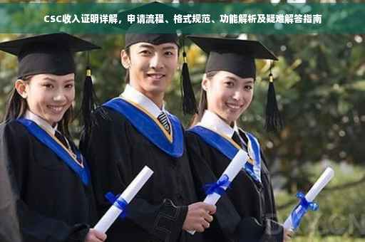 CSC收入证明详解，申请流程、格式规范、功能解析及疑难解答指南