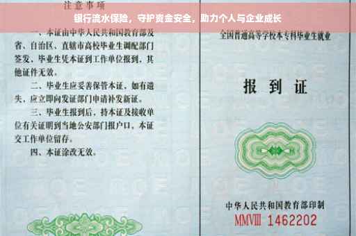 银行流水保险，守护资金安全，助力个人与企业成长
