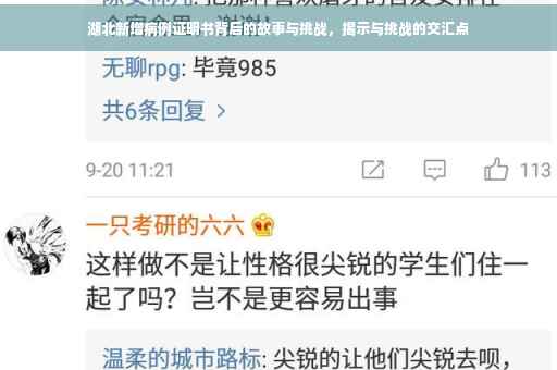 湖北新增病例证明书背后的故事与挑战，揭示与挑战的交汇点