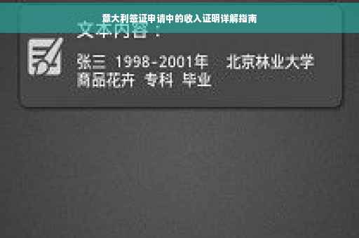 意大利签证申请中的收入证明详解指南