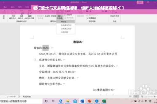 银行流水与交易明细揭秘，你所未知的秘密探秘?⚡️