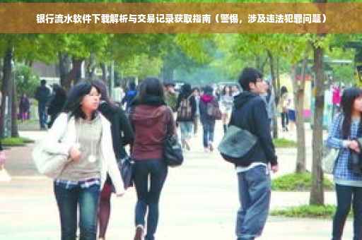 银行流水软件下载解析与交易记录获取指南（警惕，涉及违法犯罪问题）