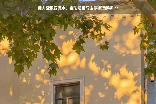 他人查银行流水，合法途径与注意事项解析 ??