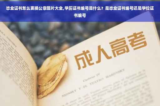毕业证书怎么更换公章图片大全,学历证书编号是什么？是毕业证书编号还是学位证书编号