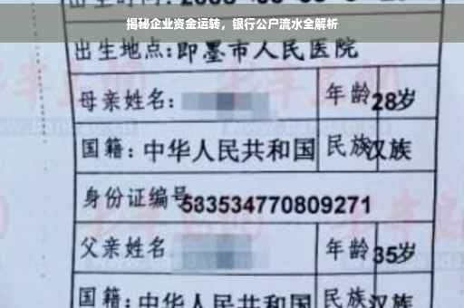 揭秘企业资金运转，银行公户流水全解析