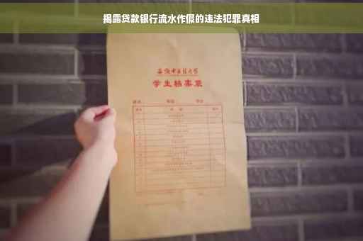 揭露贷款银行流水作假的违法犯罪真相