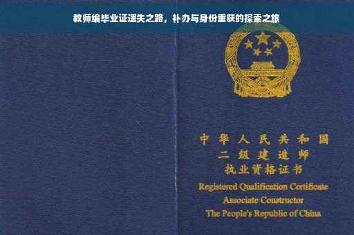 教师编毕业证遗失之路，补办与身份重获的探索之旅
