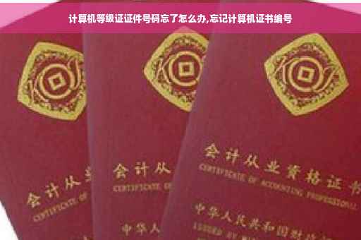 计算机等级证证件号码忘了怎么办,忘记计算机证书编号