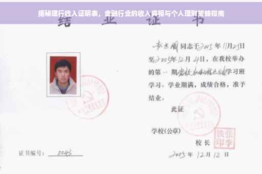 揭秘建行收入证明表，金融行业的收入真相与个人理财策略指南