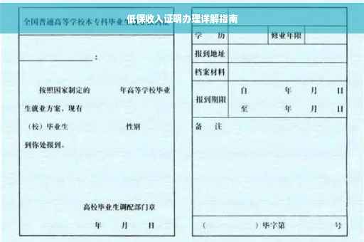 低保收入证明办理详解指南