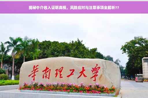 揭秘中介收入证明真相，风险应对与注意事项全解析??